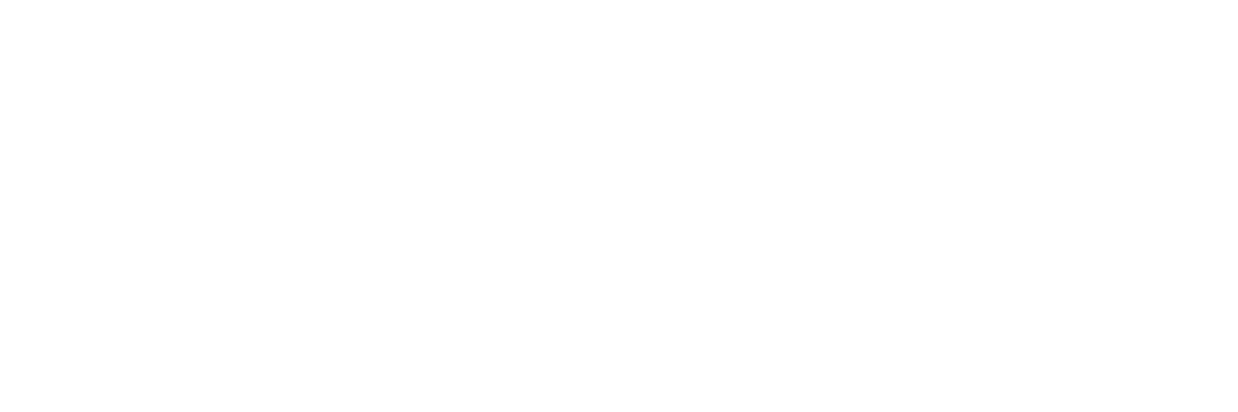 Alevin white logo